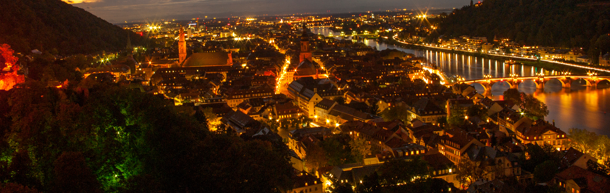 NSV 2017: 10th  International Workshop on Numerical Software Verification 2017 in Heidelberg, Germany