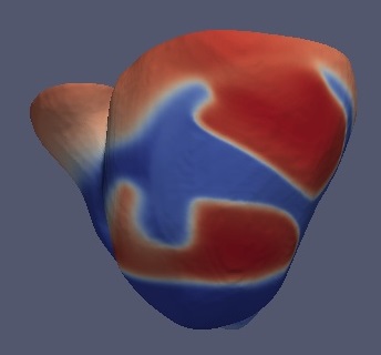 Computational Heart Modelling and Simulation Group