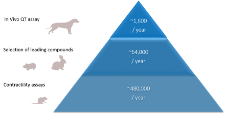 pptanimalresearch